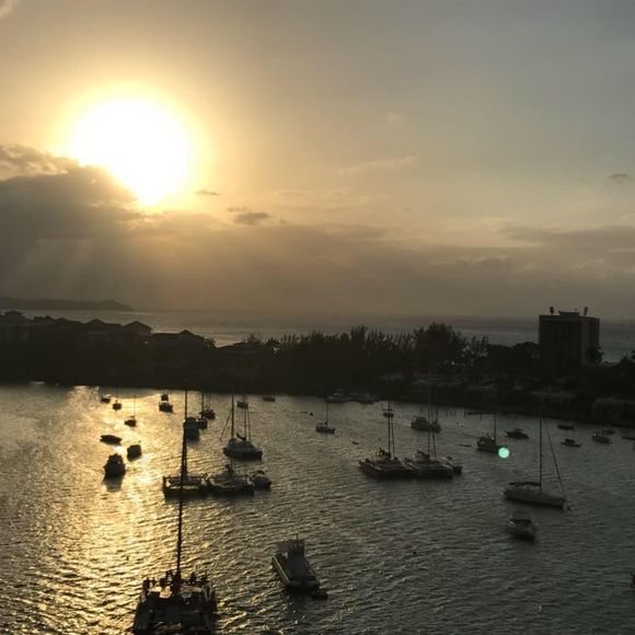 Meet your Posher, Stacy - Picture 1 of 1